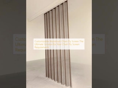 Customisable Aluminium Chain Fly Screen Solusi Utama untuk Keperluan Anda Chain Fly Screen