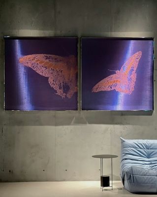 High Durability Woven Wire Mesh Mural Untuk Kain Mesh 3d